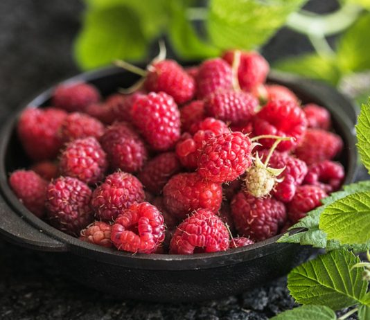 Vor dem Verzehr sollten Himbeeren in der Schwangerschaft gründlich gewaschen werden.