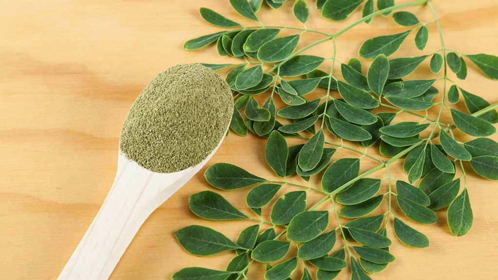 Moringa während der Schwangerschaft – ja oder nein?