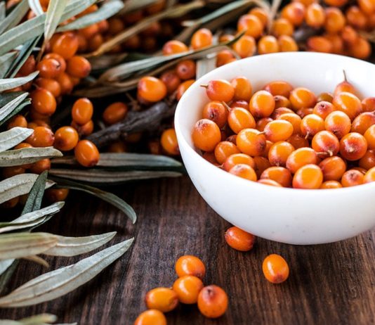 Sanddorn ist in der Schwangerschaft nicht nur aufgrund des hohen Vitamin-C-Gehalts beliebt.