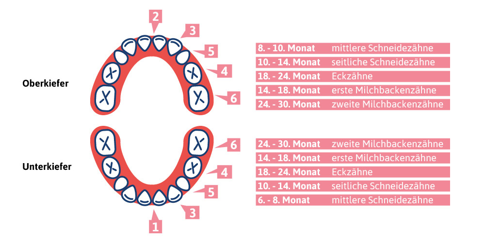 Ab wann zahnen Babys? Anzeichen, Symptome und Hilfe Echte Mamas