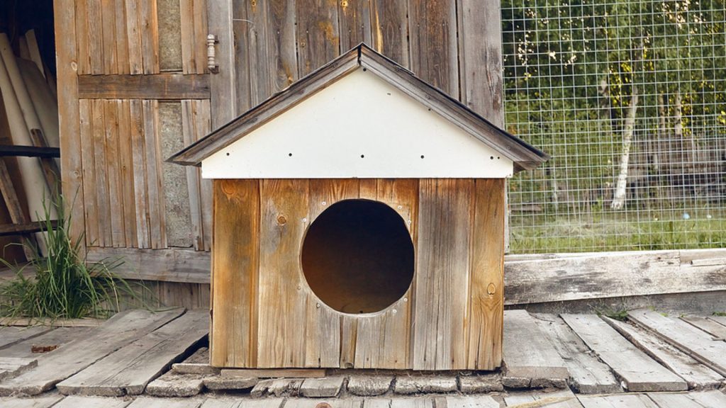 Bei 2 Grad: Kind musste monatelang in einer Hundehütte leben