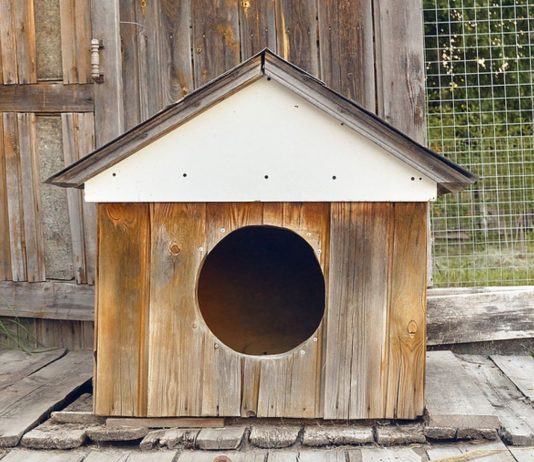 Ein Kind musste seit April in einer Hundehütte leben.