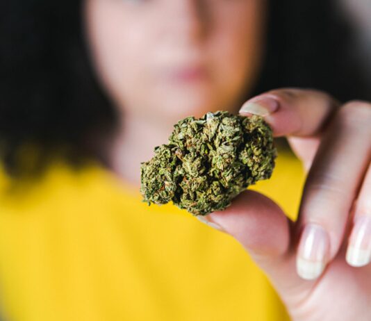 Eltern konsumieren mehr Marihuana als bisher gedacht.