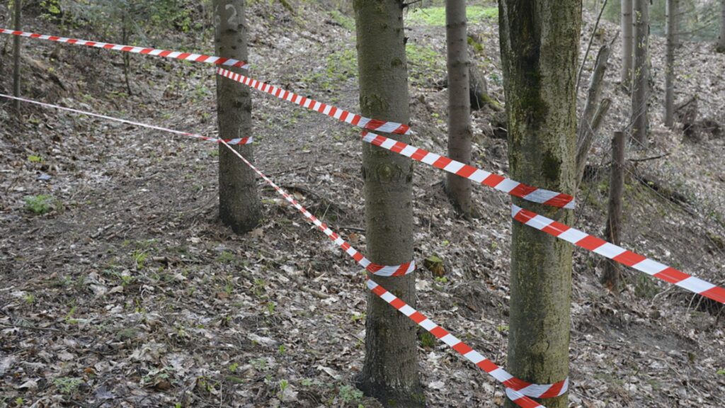 5-Jährige in Berliner Park getötet: War es ihr Babysitter?