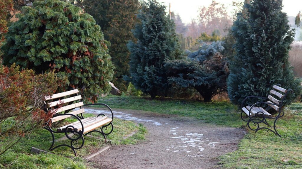 4-jährige tot in Berliner Park gefunden – 19-jähriger festgenommen