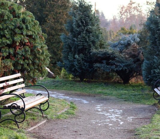 In einem Berliner Park wurde die Leiche des kleinen Mädchens gefunden.