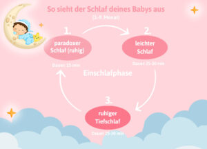 Die Schlafphasen deines Babys zwischen dem 3. und 9. Lebensmonat. 