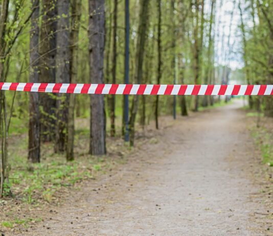 Die Leiche der 12-Jährigen wurde in einem Waldstück gefunden.