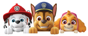 Marshall, Chase und Skye gehören zu den beliebtesten Fellfreunden der PAW Patrol. 