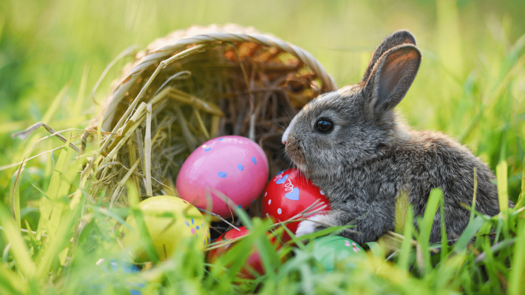 Warum feiern wir Ostern? Kindgerecht erklärt