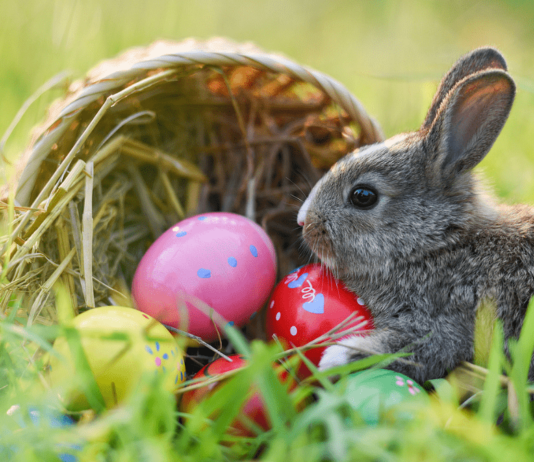 Warum feiern wir Ostern - und was hat es eigentlich mit dem Hasen und den Eiern auf sich?