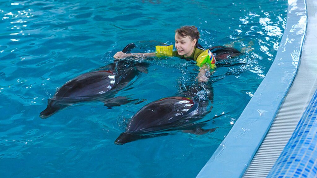 Was wir alle von Delfin-Eltern lernen können