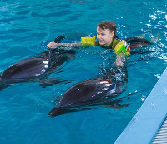 Mama und Papa sind Delfin-Eltern? Glück gehabt…