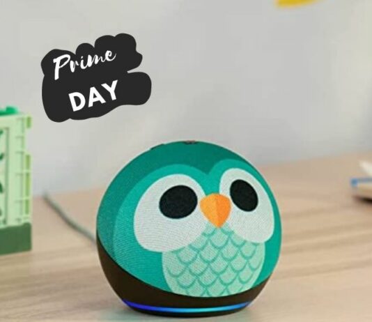 Der Echo Dot Kids ist am Prime Day stark reduziert.