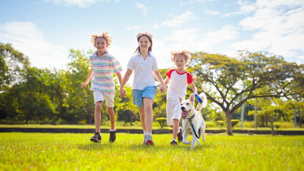 Ohne Aufsicht: Ab wann dürfen Kinder alleine draußen spielen?