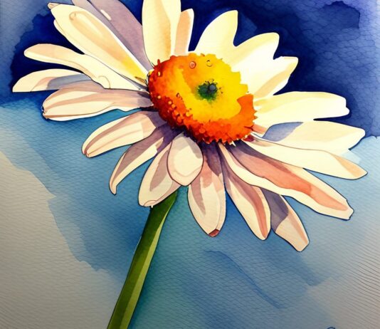 Geburtsblume im April: Das Gänseblümchen