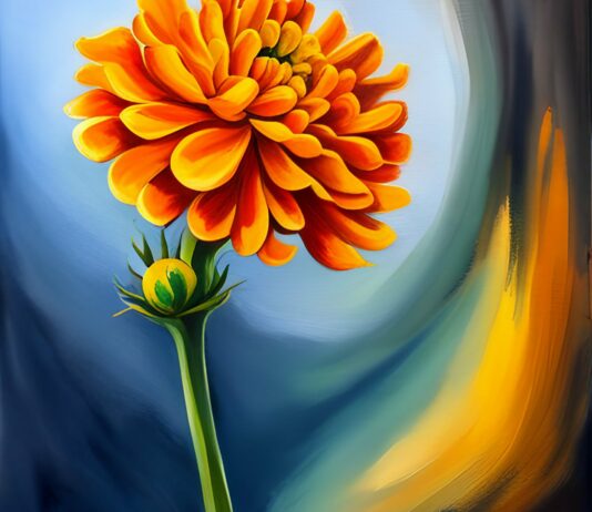 Geburtsblume im Oktober: Die Ringelblume.