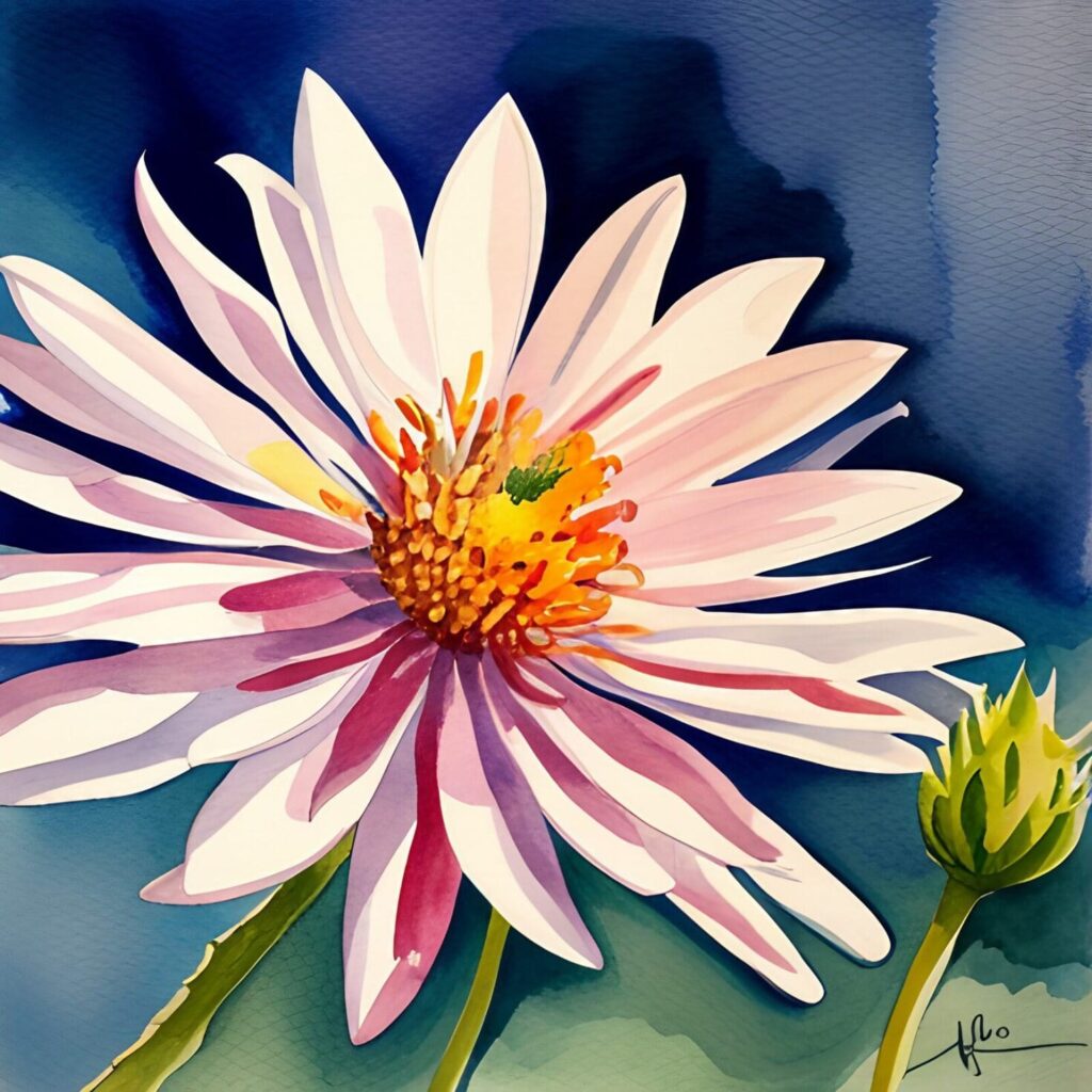 Geburtsblumen im September: Aster, Blaue Prunkwinde und Pfingstrose