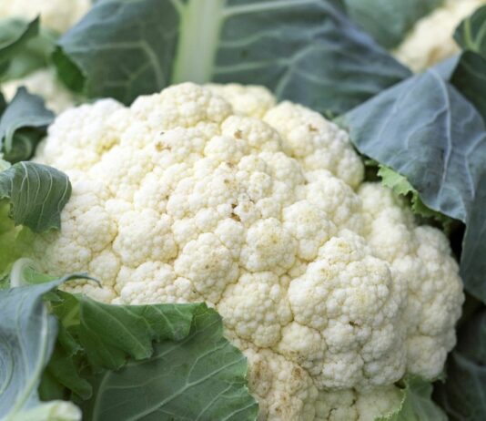 Blumenkohl darfst du auch in der Stillzeit in normalen Mengen essen.