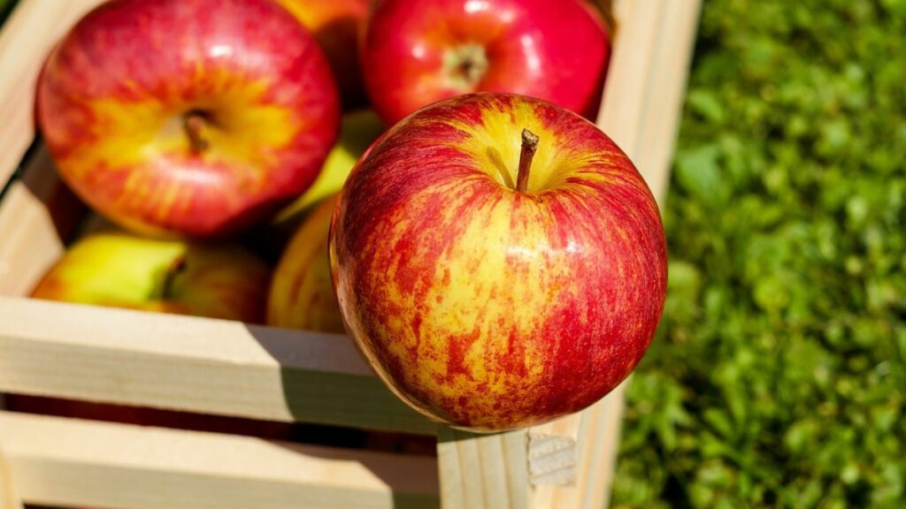 Äpfel während der Stillzeit – ja oder nein?