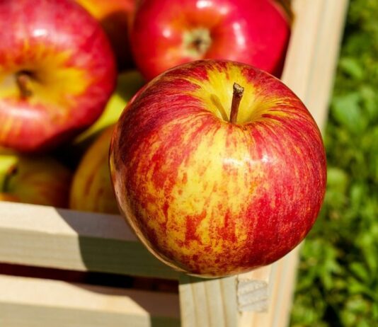 Äpfel werden in der Stillzeit generell gut vertragen.