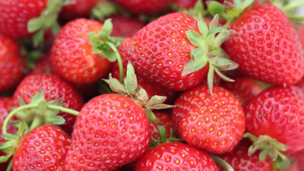 Darf ich Erdbeeren in der Stillzeit essen?