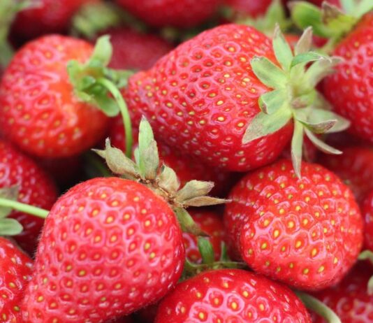 Erdbeeren sind im Normalfall auch in der Stillzeit erlaubt.