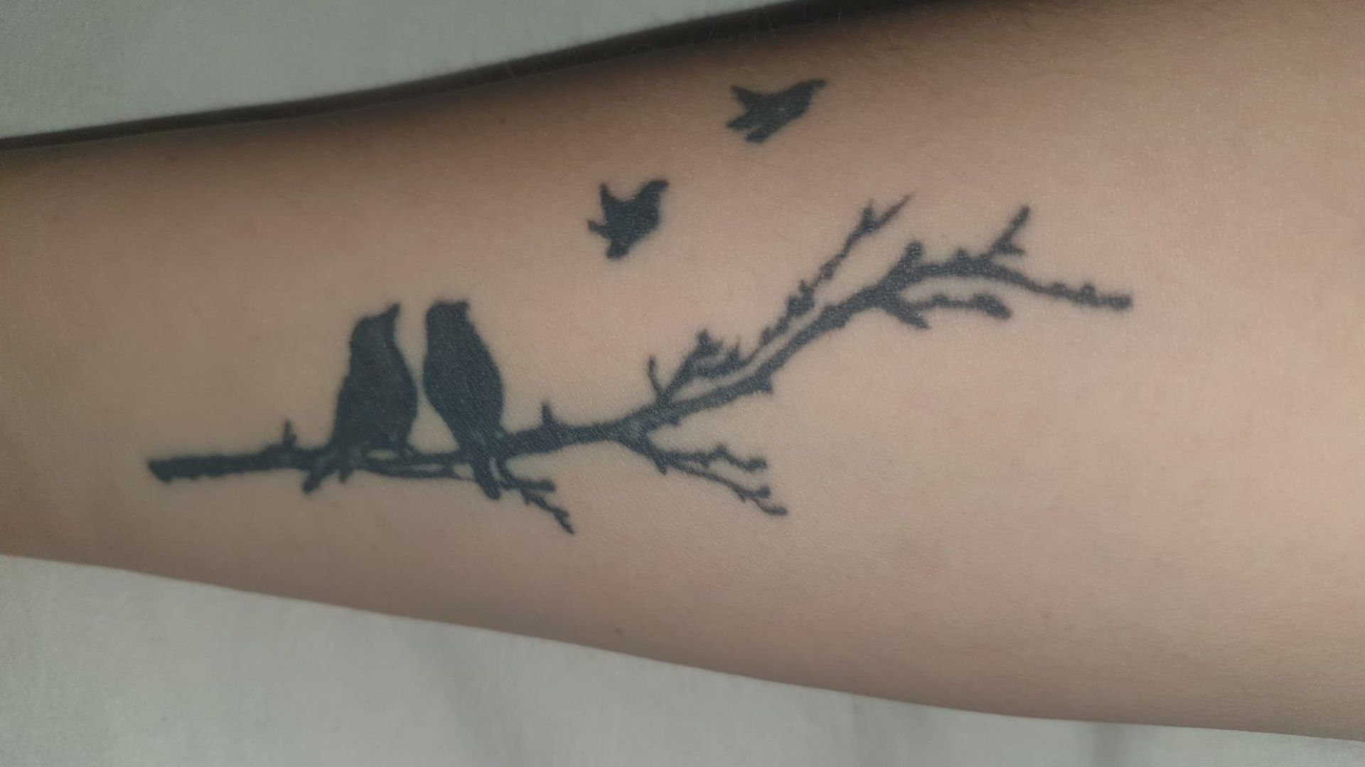 Ideen für Sternenkinder-Tattoos: Zwei erwachsene Vögel schauen den fliegenden Sternchen hinterher.