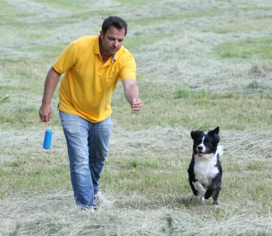 Hundeprofi Martin Rütter hat uns die wichtigsten Fragen zum Thema Hunde und Kinder beantwortet.