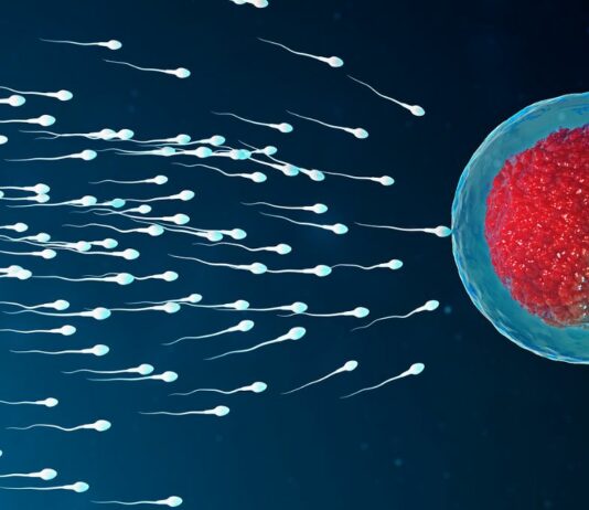 Bei einem Postkoitaltest wird untersucht, ob genug bewegliche Spermien durch den Zervixschleim in den Eileiter gelangen können.