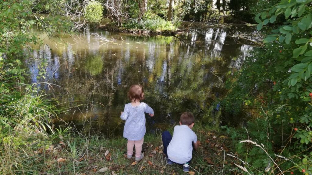 Gesichtslähmung nach Zeckenstich: „Mein Sohn hatte Borreliose“
