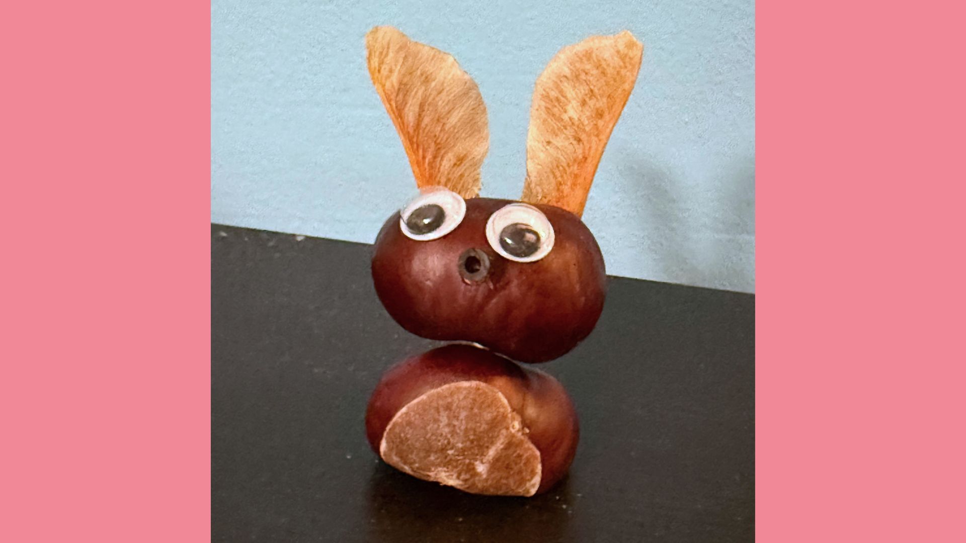 Um einen Hasen aus Kastanie zu basteln, braucht ihr zwei Ahorn-Nasen als Ohren.