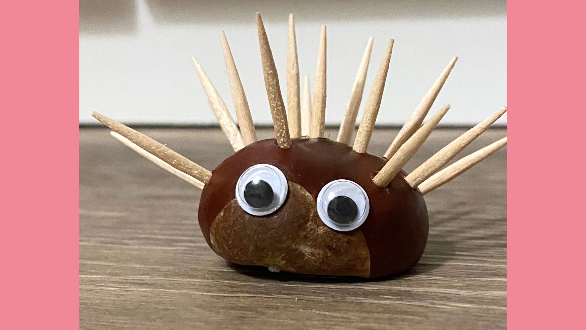 Aus einer Kastanie, Zahnstochern und Wackelaugen könnt ihr einen Igel basteln.