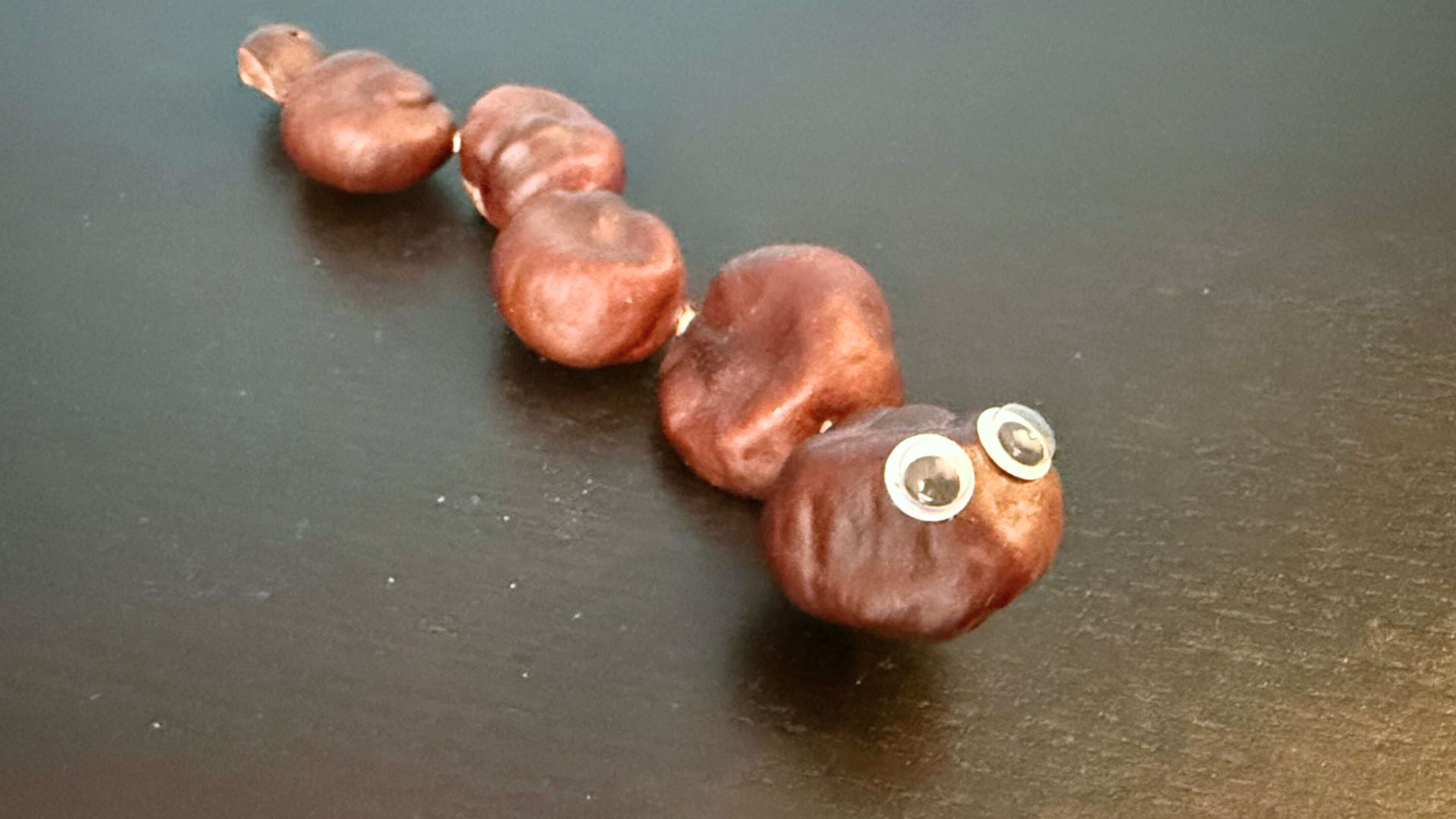 Eine Schlange lässt sich relativ schnell aus mehreren Kastanien basteln.