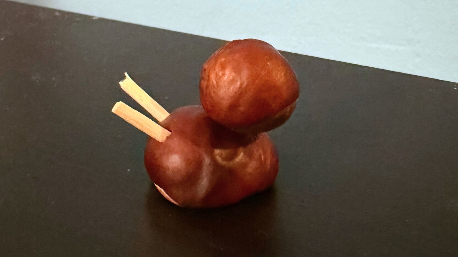 Aus einer großen und einer kleinen Kastanie plus Streichholz wird eine kleine Schnecke.