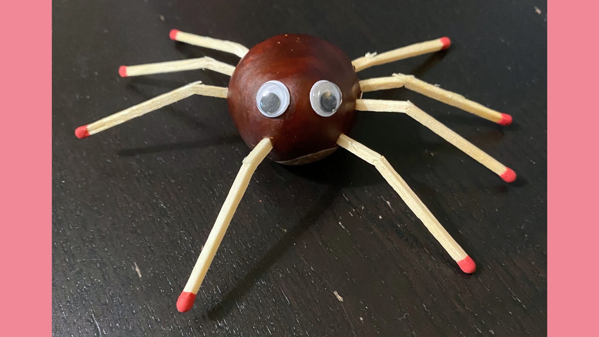 Als Kastanien-Männchen finden wir sogar eine Spinne ganz niedlich.