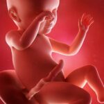 39. SSW: Langsam geht's los mit den Vorwehen. Grafik: Bigstock