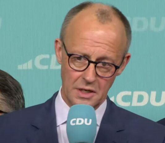 Friedrich Merz bedankt sich bei den Wählern.