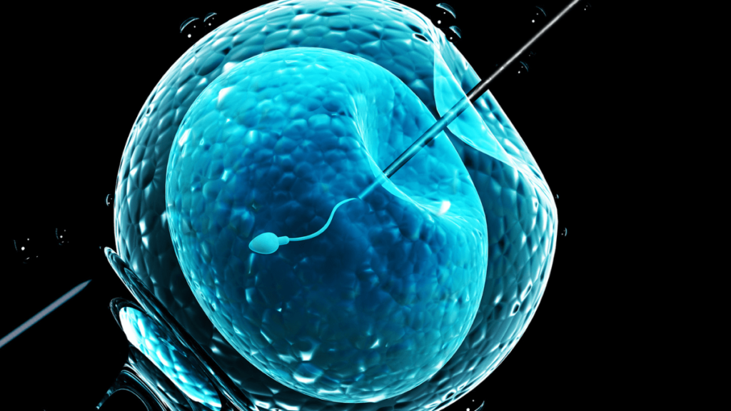 Erstes Baby mit Hilfe von künstlicher Intelligenz geboren