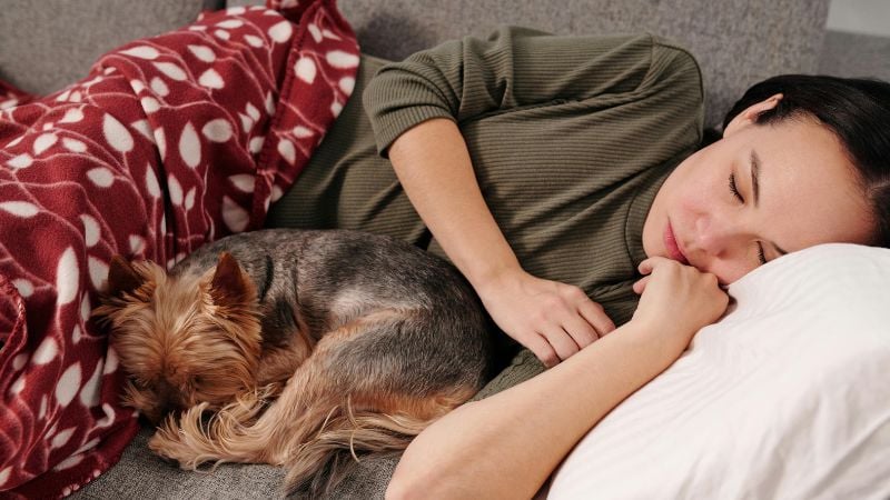 Mutter liegt auf dem Sofa zusammen mit dem Hund, fühlt sich sichtlich unwohl.