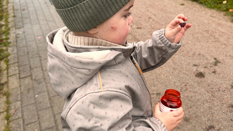 Ein kleines Mädchen hält die Packung mit den Pedia Kid Immun Gums in der Hand und schaut sich das Gummibärchen an.